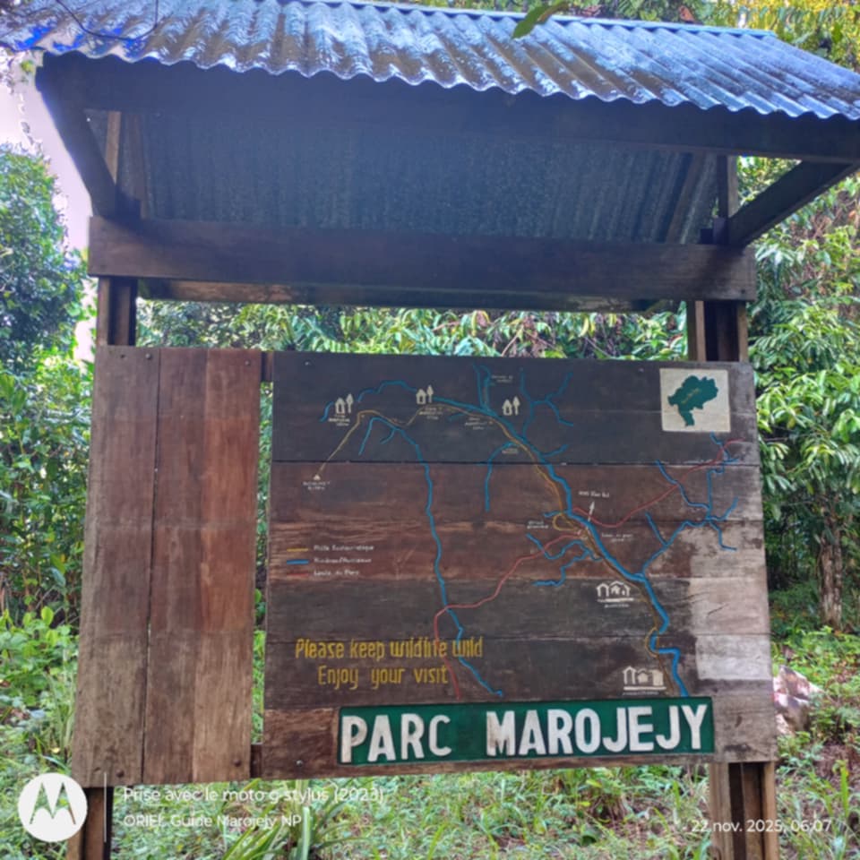 Photo de Marojejy Nationale parc 