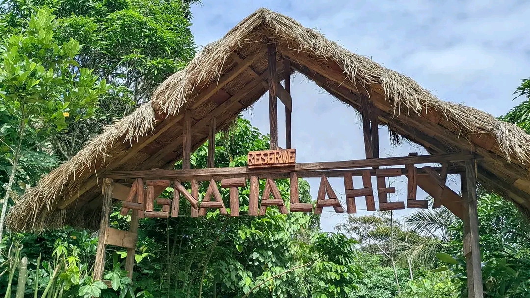 Photo de AGNATIALAHELY RESERVE 