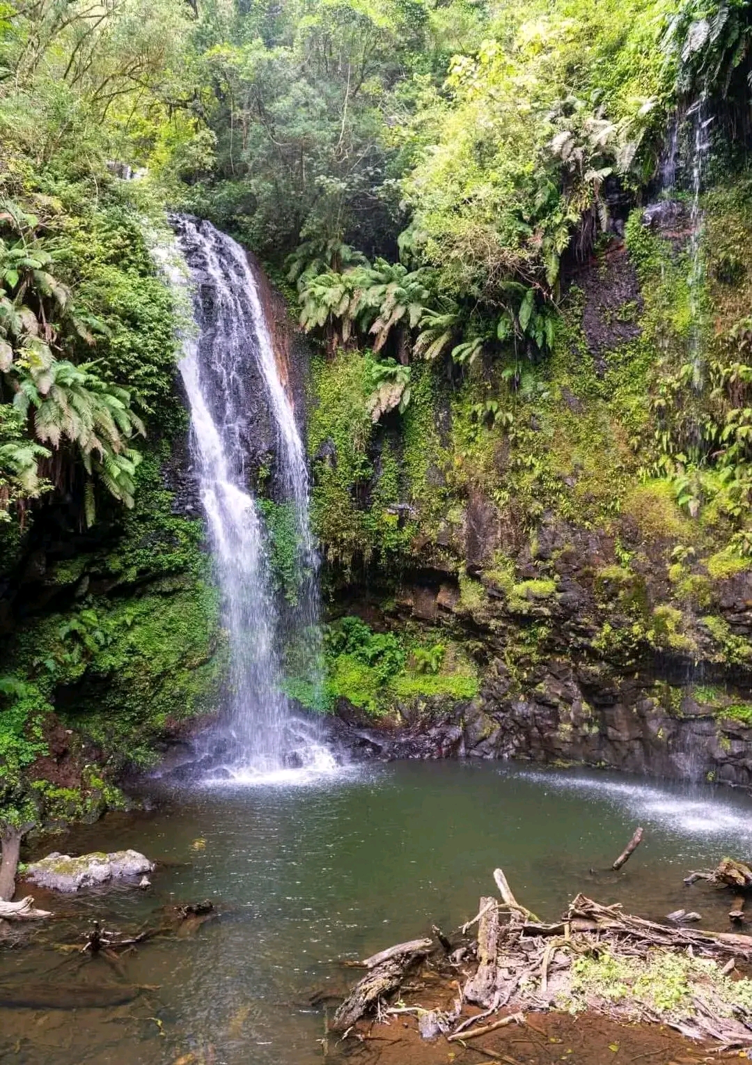 Parc National de la Montagne d’Ambre